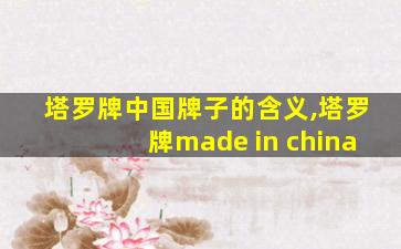 塔罗牌中国牌子的含义,塔罗牌made in china